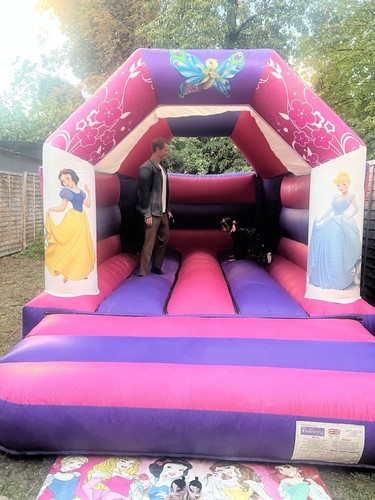 Commercial princess bouncy - commercial,