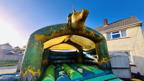 Adult dinosaur bouncy - dinosaur,
