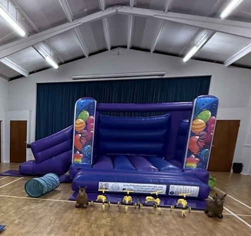Inflatable bouncy castle - inflatable,